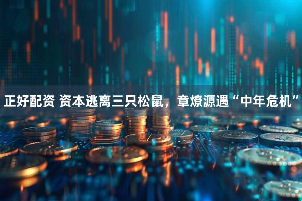 正好配资 资本逃离三只松鼠，章燎源遇“中年危机”