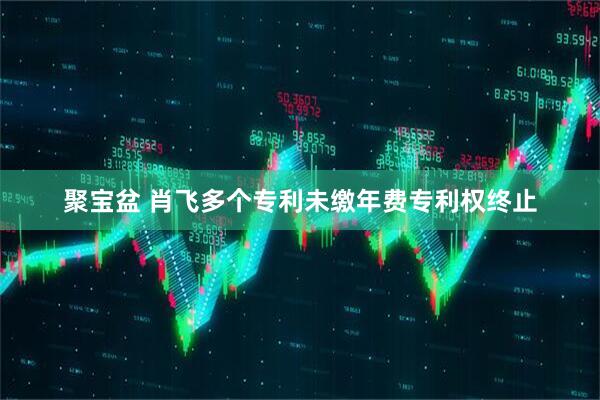 聚宝盆 肖飞多个专利未缴年费专利权终止