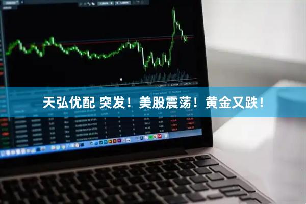 天弘优配 突发！美股震荡！黄金又跌！