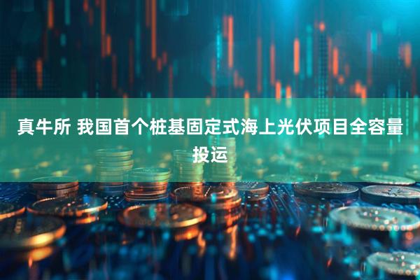 真牛所 我国首个桩基固定式海上光伏项目全容量投运
