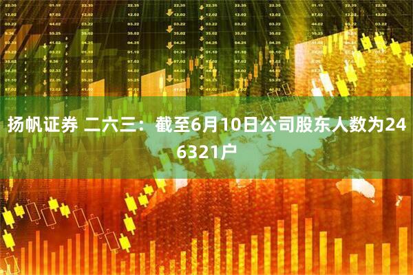 扬帆证券 二六三：截至6月10日公司股东人数为246321户