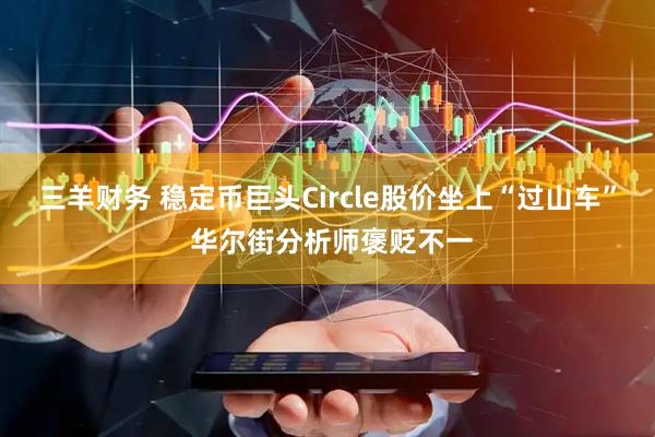 三羊财务 稳定币巨头Circle股价坐上“过山车” 华尔街分析师褒贬不一