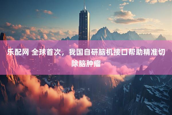 乐配网 全球首次，我国自研脑机接口帮助精准切除脑肿瘤