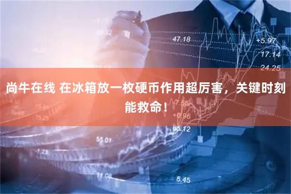 尚牛在线 在冰箱放一枚硬币作用超厉害，关键时刻能救命！