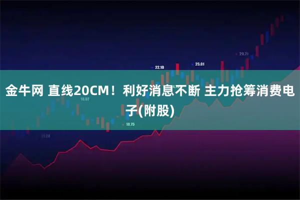 金牛网 直线20CM！利好消息不断 主力抢筹消费电子(附股)