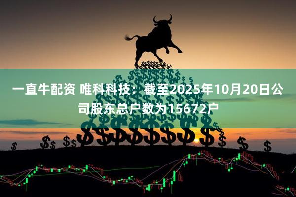 一直牛配资 唯科科技：截至2025年10月20日公司股东总户数为15672户
