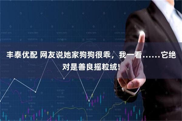 丰泰优配 网友说她家狗狗很乖,我一看……它绝对是善良摇粒绒!