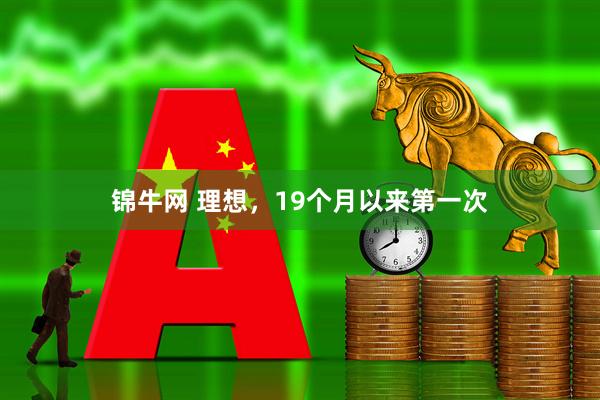 锦牛网 理想,19个月以来第一次